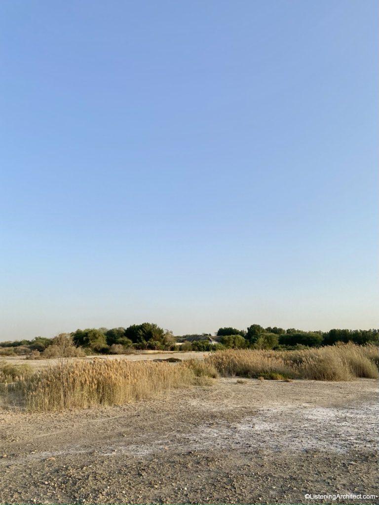 Bird Sanctuary Nets Hidden on the Horizon