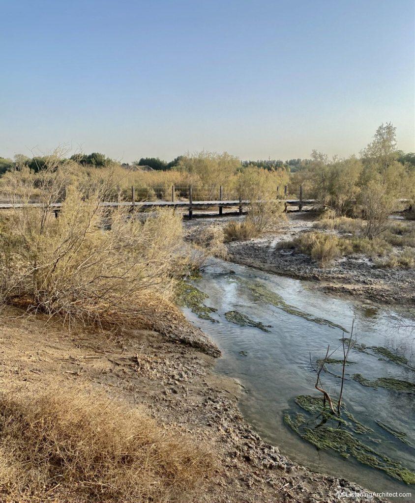 Stream Fed by Natural Spring