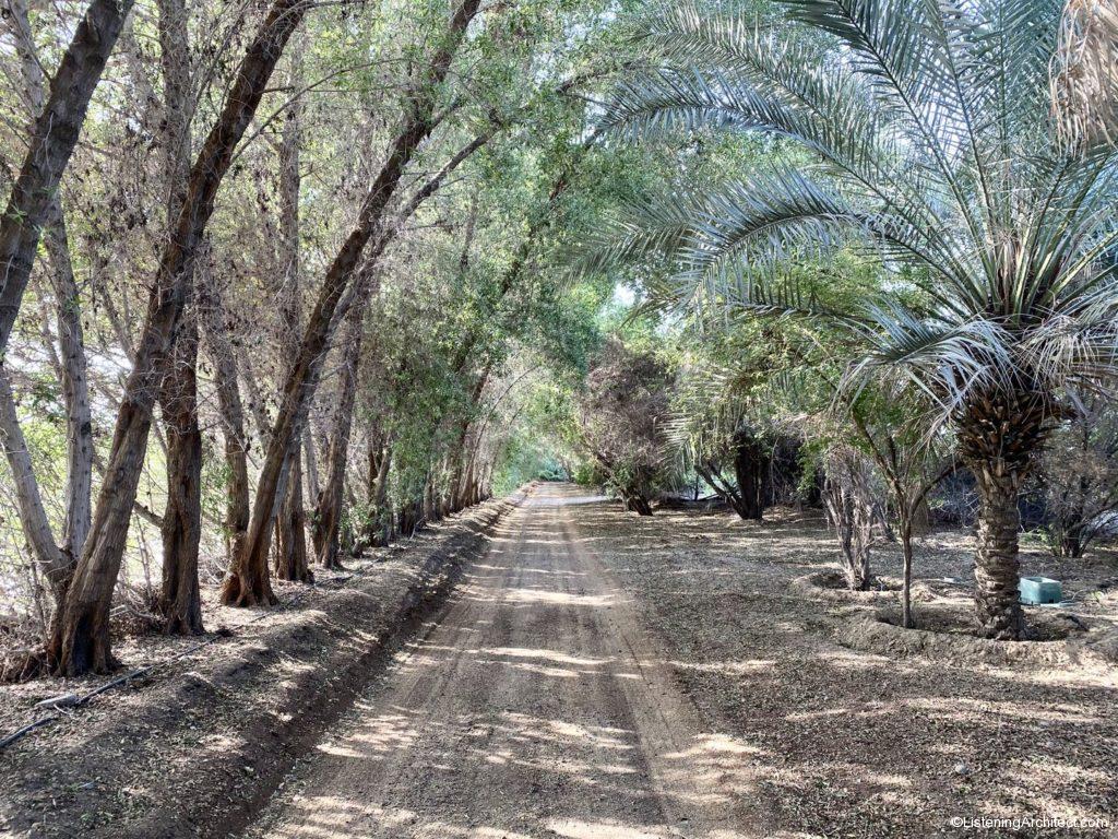 Trail Circling Wasit Wetland