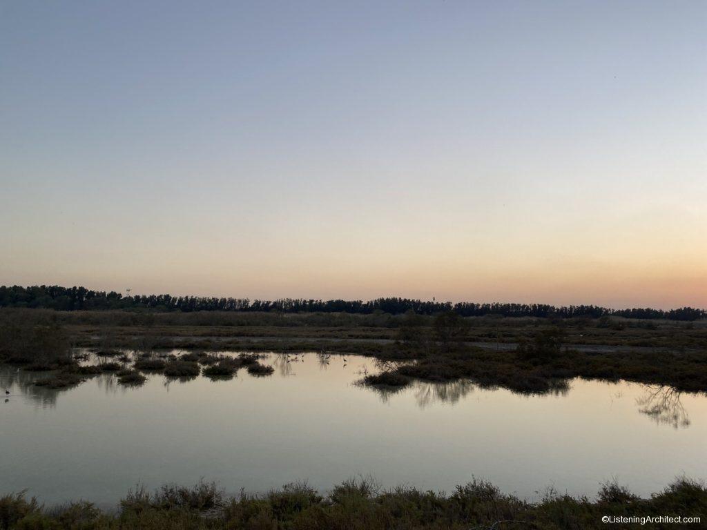 Wasit Wetland at Dusk