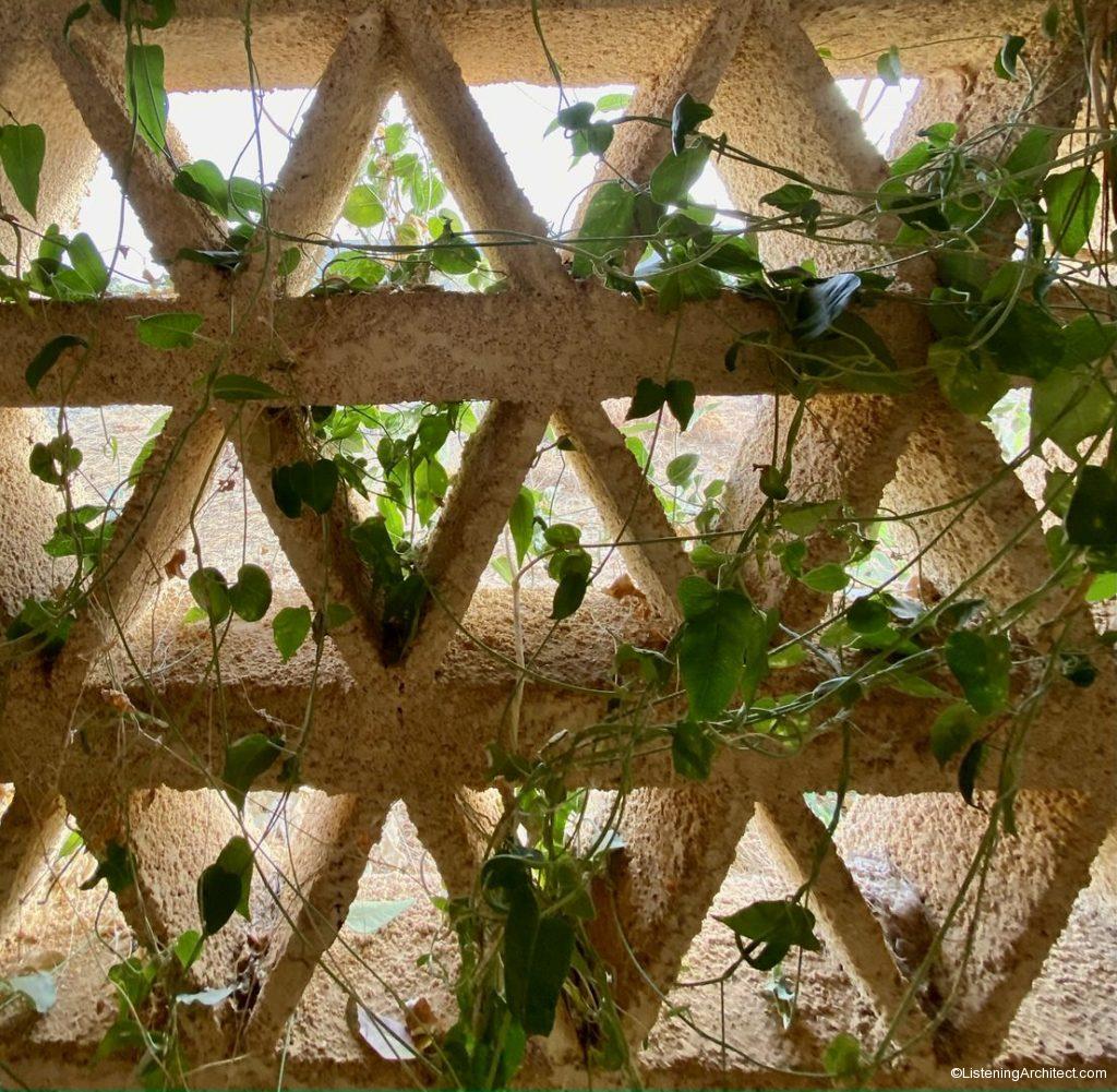 Breeze Blocks with Ivy